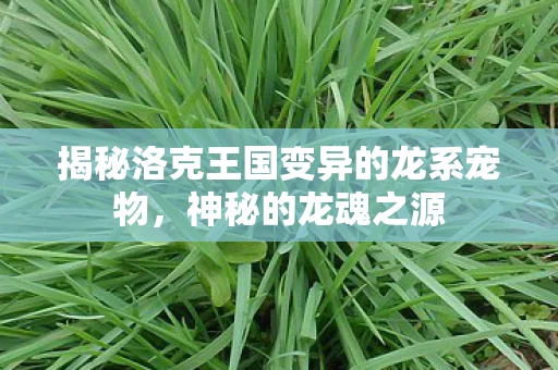 揭秘洛克王国变异的龙系宠物图片