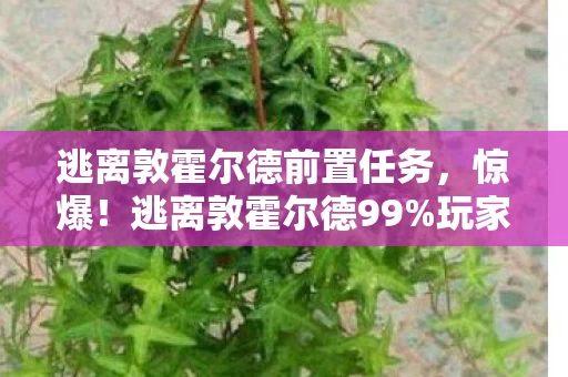 逃离敦霍尔德前置任务,惊爆!逃离敦霍尔德99%玩家不知的3大数值暗坑,策划藏太深! 逃离敦霍尔德前置任务,惊爆!逃离敦霍尔德99%玩家不知的3大数值暗坑,策划藏太深!