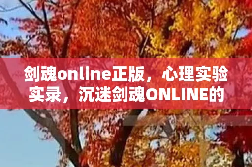 剑魂online正版,心理实验实录,沉迷剑魂ONLINE的细思极恐自我麻醉剂量表 剑魂online正版,心理实验实录,沉迷剑魂ONLINE的细思极恐自我麻醉剂量表