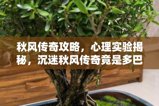 秋风传奇攻略,心理实验揭秘,沉迷秋风传奇竟是多巴胺陷阱?细思极恐! 秋风传奇攻略,心理实验揭秘,沉迷秋风传奇竟是多巴胺陷阱?细思极恐!