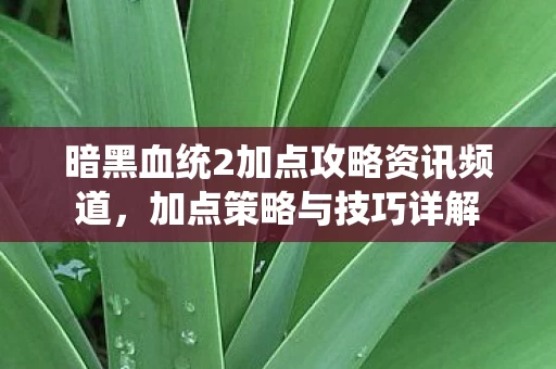 暗黑血统2加点攻略资讯频道图片