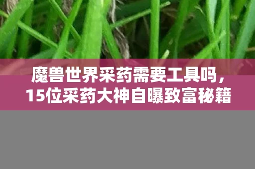 魔兽世界采药需要工具吗,15位采药大神自曝致富秘籍,背后疑点让萌新当场笑出鹅叫! 魔兽世界采药需要工具吗,15位采药大神自曝致富秘籍,背后疑点让萌新当场笑出鹅叫!