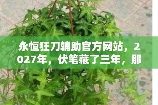 永恒狂刀辅助官方网站,2027年,伏笔藏了三年,那句等你让我鼻子一酸 永恒狂刀辅助官方网站,2027年,伏笔藏了三年,那句等你让我鼻子一酸