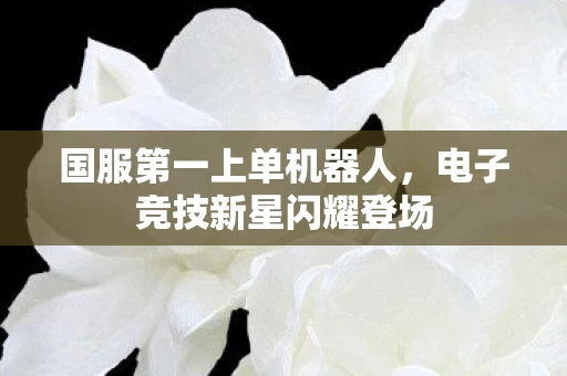 电子竞技新星闪耀登场图片