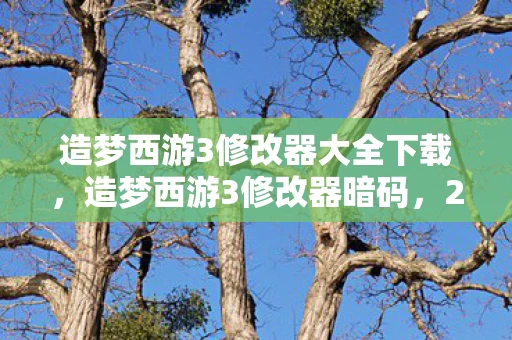 造梦西游3修改器大全下载,造梦西游3修改器暗码,2027年未破悬案,谁在操控我的存档? 造梦西游3修改器大全下载,造梦西游3修改器暗码,2027年未破悬案,谁在操控我的存档?