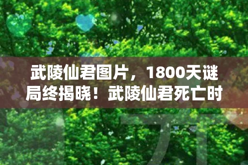武陵仙君图片,1800天谜局终揭晓!武陵仙君死亡时间线曝光,百万玩家泪目 武陵仙君图片,1800天谜局终揭晓!武陵仙君死亡时间线曝光,百万玩家泪目