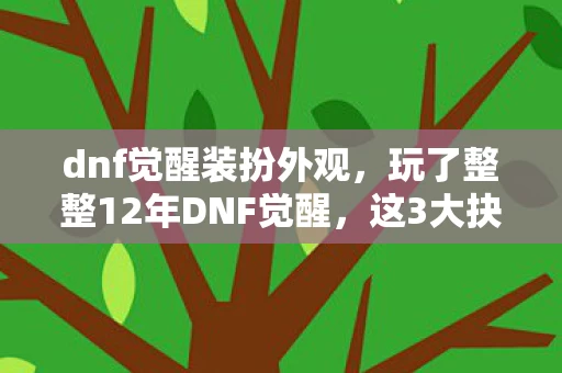 dnf觉醒装扮外观，玩了整整12年DNF觉醒，这3大抉择让我至今难以释怀！