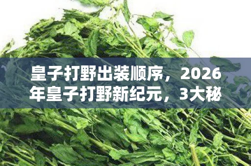 皇子打野出装顺序，2026年皇子打野新纪元，3大秘籍揭秘，胜率飙升90%的真相？