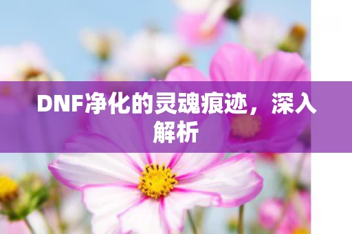 DNF净化的灵魂痕迹图片