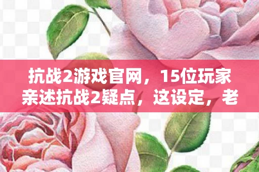 抗战2游戏官网，15位玩家亲述抗战2疑点，这设定，老玩家都绷不住了！