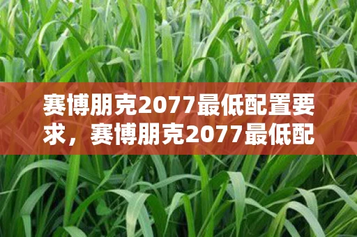 赛博朋克2077最低配置要求,赛博朋克2077最低配惊现血色悬案,我,是所有杀戮的毛骨悚然线索 赛博朋克2077最低配置要求,赛博朋克2077最低配惊现血色悬案,我,是所有杀戮的毛骨悚然线索