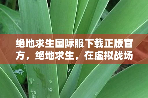 绝地求生国际服下载正版官方,绝地求生,在虚拟战场的至高悖论中,灵魂震颤的生存抉择 绝地求生国际服下载正版官方,绝地求生,在虚拟战场的至高悖论中,灵魂震颤的生存抉择