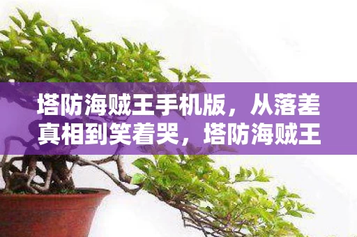 塔防海贼王手机版,从落差真相到笑着哭,塔防海贼王,我终究成了自己的笑话 塔防海贼王手机版,从落差真相到笑着哭,塔防海贼王,我终究成了自己的笑话