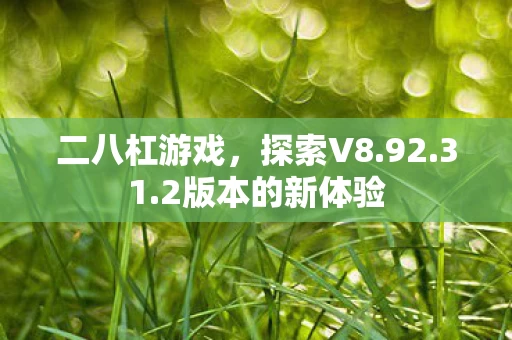 2版本的新体验图片