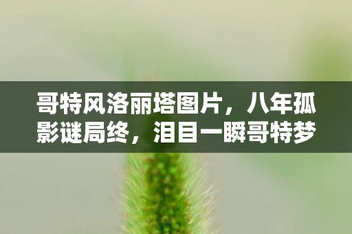 哥特风洛丽塔图片,八年孤影谜局终,泪目一瞬哥特梦碎成空 哥特风洛丽塔图片,八年孤影谜局终,泪目一瞬哥特梦碎成空