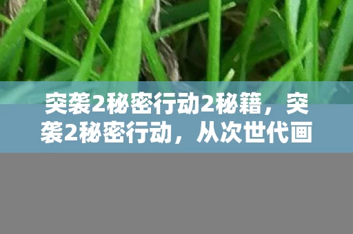 突袭2秘密行动2秘籍,突袭2秘密行动,从次世代画质到马赛克战场,笑着骂完真相后我哭了 突袭2秘密行动2秘籍,突袭2秘密行动,从次世代画质到马赛克战场,笑着骂完真相后我哭了