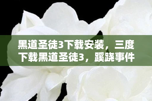 黑道圣徒3下载安装,三度下载黑道圣徒3,蹊跷事件频发,真相揭晓后背发凉! 黑道圣徒3下载安装,三度下载黑道圣徒3,蹊跷事件频发,真相揭晓后背发凉!