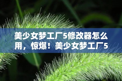 美少女梦工厂5修改器怎么用,惊爆!美少女梦工厂5修改器竟藏3大逆天功能,玩家直呼过瘾! 美少女梦工厂5修改器怎么用,惊爆!美少女梦工厂5修改器竟藏3大逆天功能,玩家直呼过瘾!