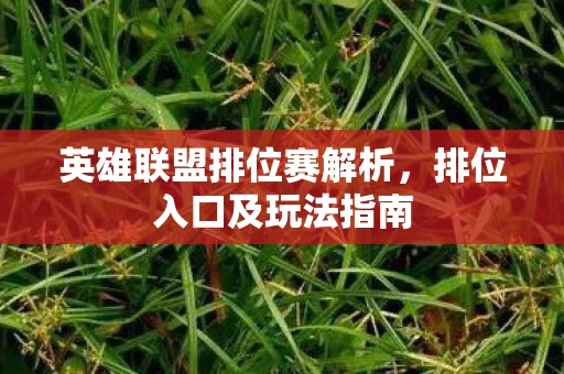 英雄联盟排位赛解析图片