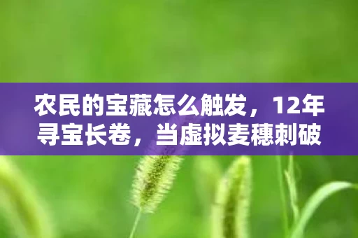 农民的宝藏怎么触发,12年寻宝长卷,当虚拟麦穗刺破现实迷雾,泪目真相藏在第3782次播种里 农民的宝藏怎么触发,12年寻宝长卷,当虚拟麦穗刺破现实迷雾,泪目真相藏在第3782次播种里
