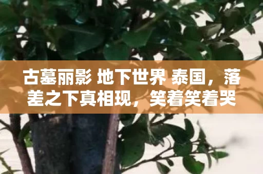 古墓丽影 地下世界 泰国,落差之下真相现,笑着笑着哭了,谁懂古墓丽影 地下世界的瘾? 古墓丽影 地下世界 泰国,落差之下真相现,笑着笑着哭了,谁懂古墓丽影 地下世界的瘾?
