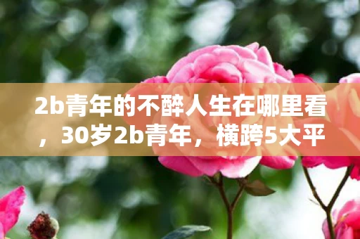 2b青年的不醉人生在哪里看,30岁2b青年,横跨5大平台,游戏人生背后的10年心酸泪 2b青年的不醉人生在哪里看,30岁2b青年,横跨5大平台,游戏人生背后的10年心酸泪