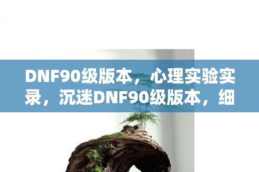 DNF90级版本,心理实验实录,沉迷DNF90级版本,细思极恐的自我麻醉之旅 DNF90级版本,心理实验实录,沉迷DNF90级版本,细思极恐的自我麻醉之旅