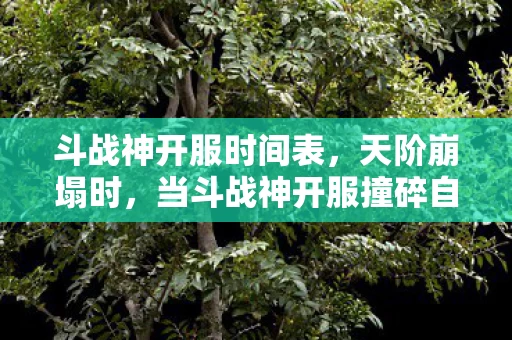 斗战神开服时间表，天阶崩塌时，当斗战神开服撞碎自由选择的悖论牢笼