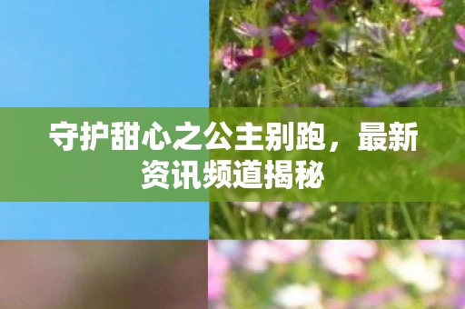 守护甜心之公主别跑图片