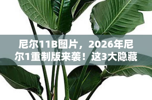 尼尔11B图片，2026年尼尔1重制版来袭！这3大隐藏剧情将颠覆你的认知？