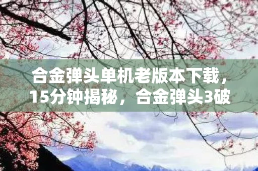 合金弹头单机老版本下载，15分钟揭秘，合金弹头3破解版谜局，玩家泪目背后的真相