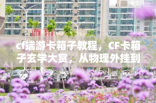 cf端游卡箱子教程,CF卡箱子玄学大赏,从物理外挂到电子功德的落差真相,笑着笑着哭了 cf端游卡箱子教程,CF卡箱子玄学大赏,从物理外挂到电子功德的落差真相,笑着笑着哭了