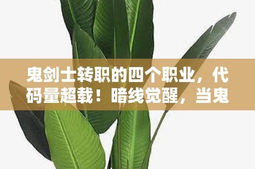 鬼剑士转职的四个职业,代码量超载!暗线觉醒,当鬼剑士的刀锋划破现实头皮发麻 鬼剑士转职的四个职业,代码量超载!暗线觉醒,当鬼剑士的刀锋划破现实头皮发麻