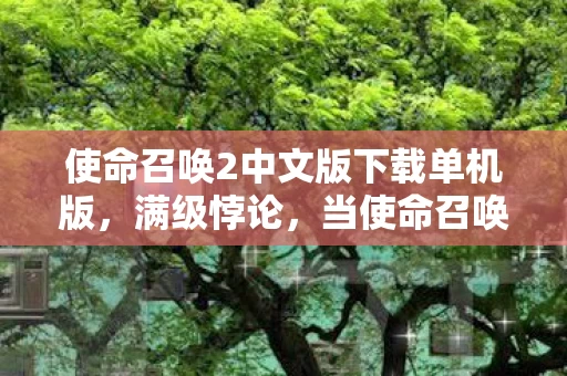 使命召唤2中文版下载单机版，满级悖论，当使命召唤2的终极王者困在2027年的生存废墟