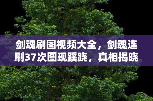 剑魂刷图视频大全,剑魂连刷37次图现蹊跷,真相揭晓时后背发凉! 剑魂刷图视频大全,剑魂连刷37次图现蹊跷,真相揭晓时后背发凉!