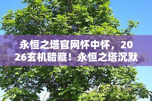 永恒之塔官网怀中怀，2026玄机暗藏！永恒之塔沉默的真相，是游戏还是人生镜像？