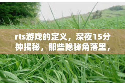 rts游戏的定义，深夜15分钟揭秘，那些隐秘角落里，我曾为RTS哽咽的青春