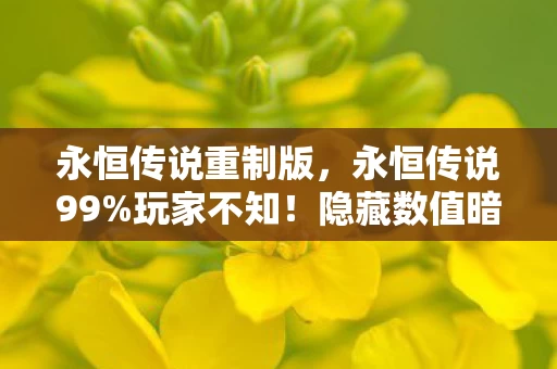 永恒传说重制版，永恒传说99%玩家不知！隐藏数值暗改300%爆率竟是陷阱？