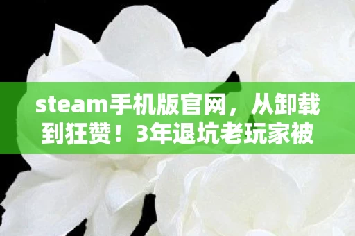 steam手机版官网，从卸载到狂赞！3年退坑老玩家被Steam手机版这波操作惊掉下巴！