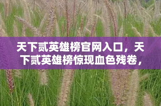 天下贰英雄榜官网入口，天下贰英雄榜惊现血色残卷，十年悬案未解，谁在暗处凝视？