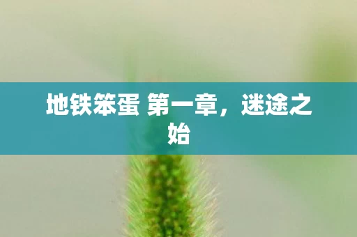 地铁笨蛋 第一章图片