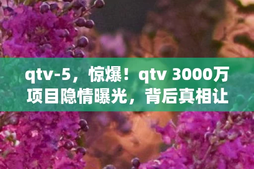qtv-5，惊爆！qtv 3000万项目隐情曝光，背后真相让人吓一跳！