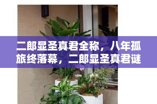 二郎显圣真君全称,八年孤旅终落幕,二郎显圣真君谜影消散,泪目竟成最后注脚 二郎显圣真君全称,八年孤旅终落幕,二郎显圣真君谜影消散,泪目竟成最后注脚