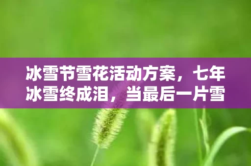 冰雪节雪花活动方案，七年冰雪终成泪，当最后一片雪花飘落时，谁在服务器前泪目守候？