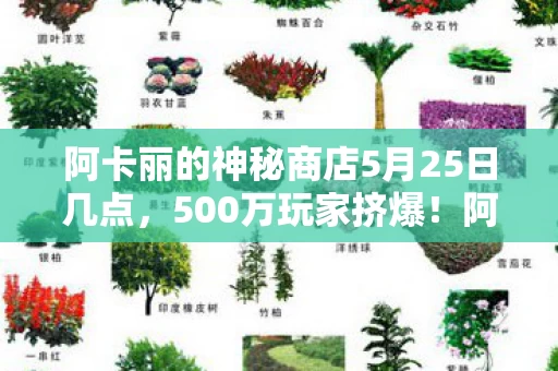 阿卡丽的神秘商店5月25日几点,500万玩家挤爆!阿卡丽商店5月25疑点重重,网友,这波真绷不住了! 阿卡丽的神秘商店5月25日几点,500万玩家挤爆!阿卡丽商店5月25疑点重重,网友,这波真绷不住了!