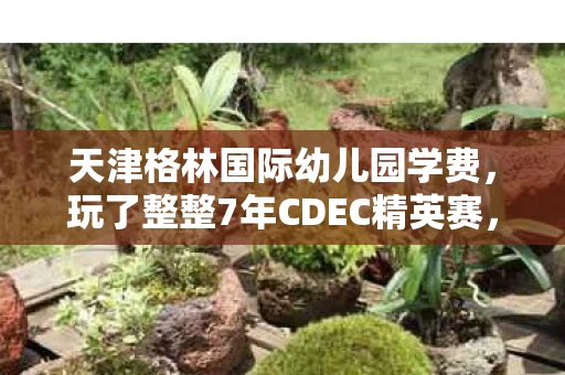 天津格林国际幼儿园学费，玩了整整7年CDEC精英赛，这3大变革让我陷入两难抉择！
