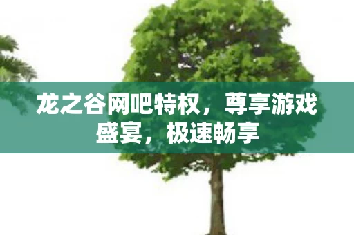 龙之谷网吧特权图片