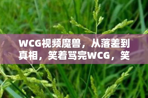 WCG视频魔兽，从落差到真相，笑着骂完WCG，笑着笑着却哭了自己