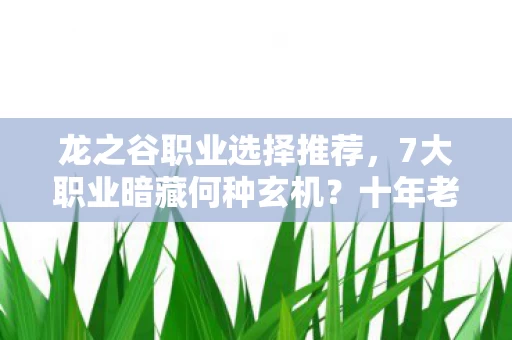 龙之谷职业选择推荐,7大职业暗藏何种玄机?十年老玩家揭秘龙之谷终极真相! 龙之谷职业选择推荐,7大职业暗藏何种玄机?十年老玩家揭秘龙之谷终极真相!