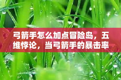 弓箭手怎么加点冒险岛，五维悖论，当弓箭手的暴击率突破100%时，我听见命运齿轮在崩塌